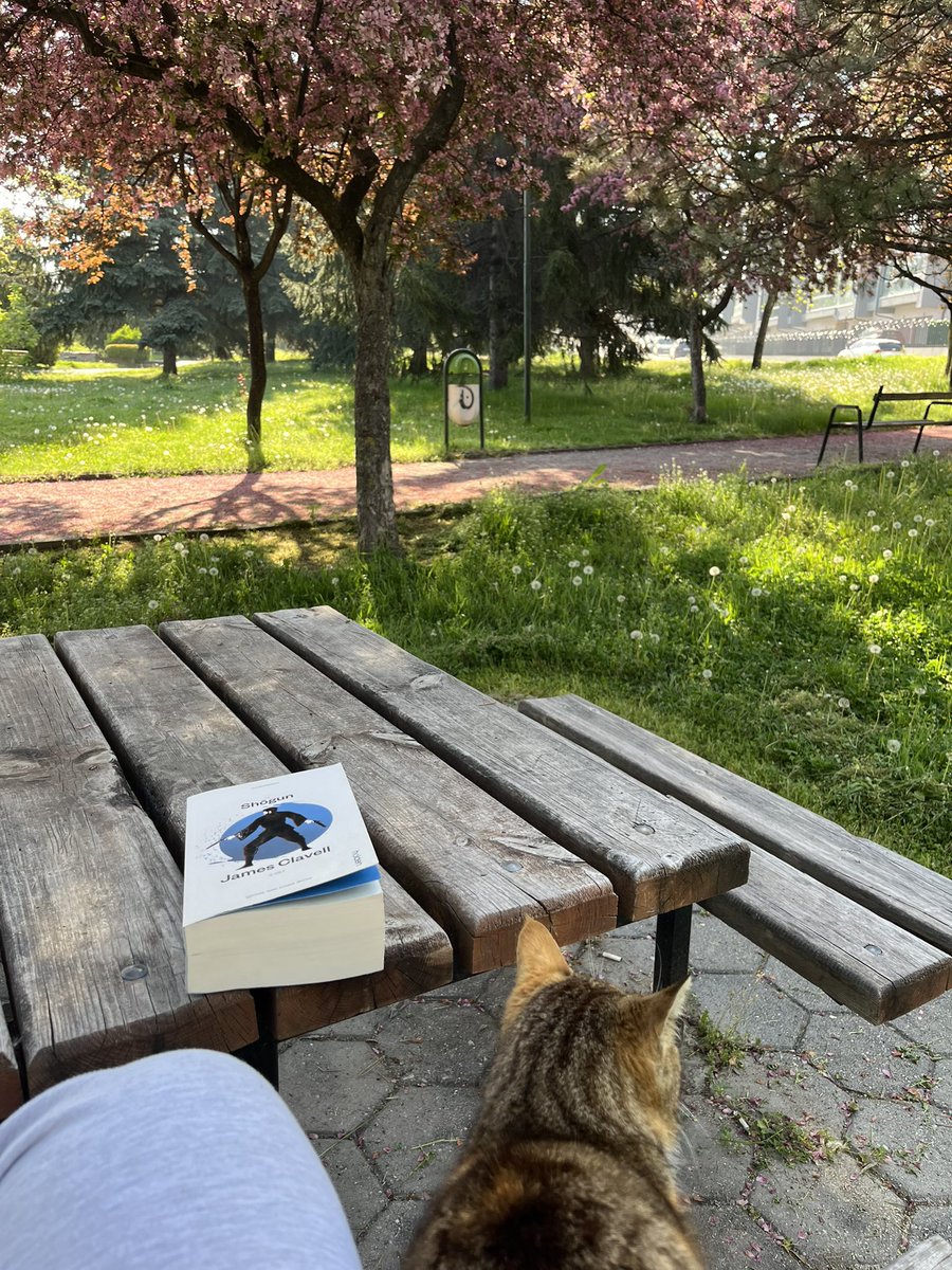 CinnamonChuck's tweet photo. Sabah sudokusu. Yürüyüş. Ve parkta kitap okudum https://t.co/YnHEd7MD35