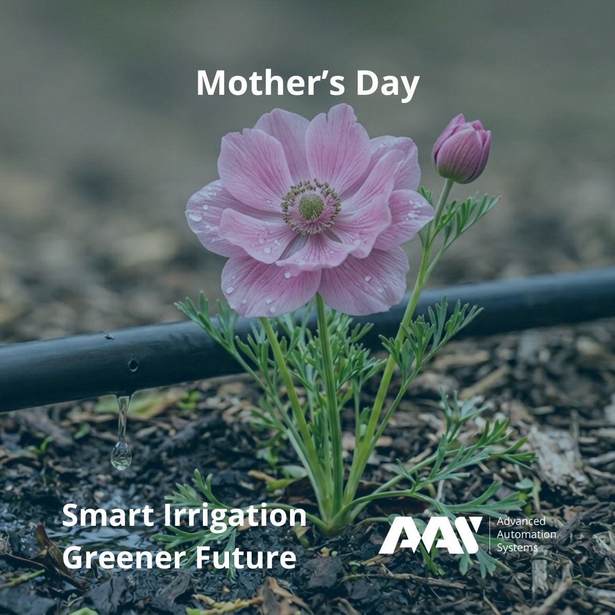 aasystemseu's tweet photo. Mother's Day
Investing in the future, lessons from Mother Earth and Motherhood.
Smart Irrigation Greener Future
https://t.co/pfT9OCAtM1
#AAS #DripIrrigation #Sustainability #AgTech #Motherhood #MothersDay #SmartIrrigation #GreenerFuture https://t.co/28MmteEZpt