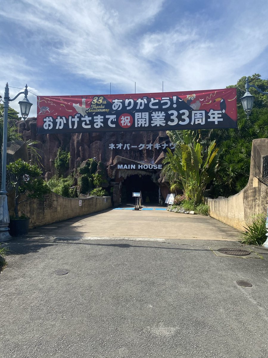きゅーちゃん tweet media