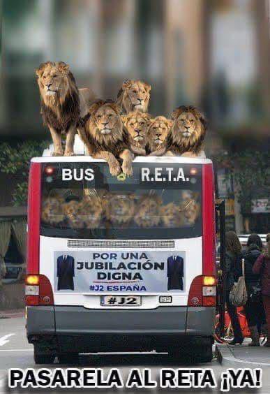 (((Lourdes Cano))) 🐾💚💙 tweet media