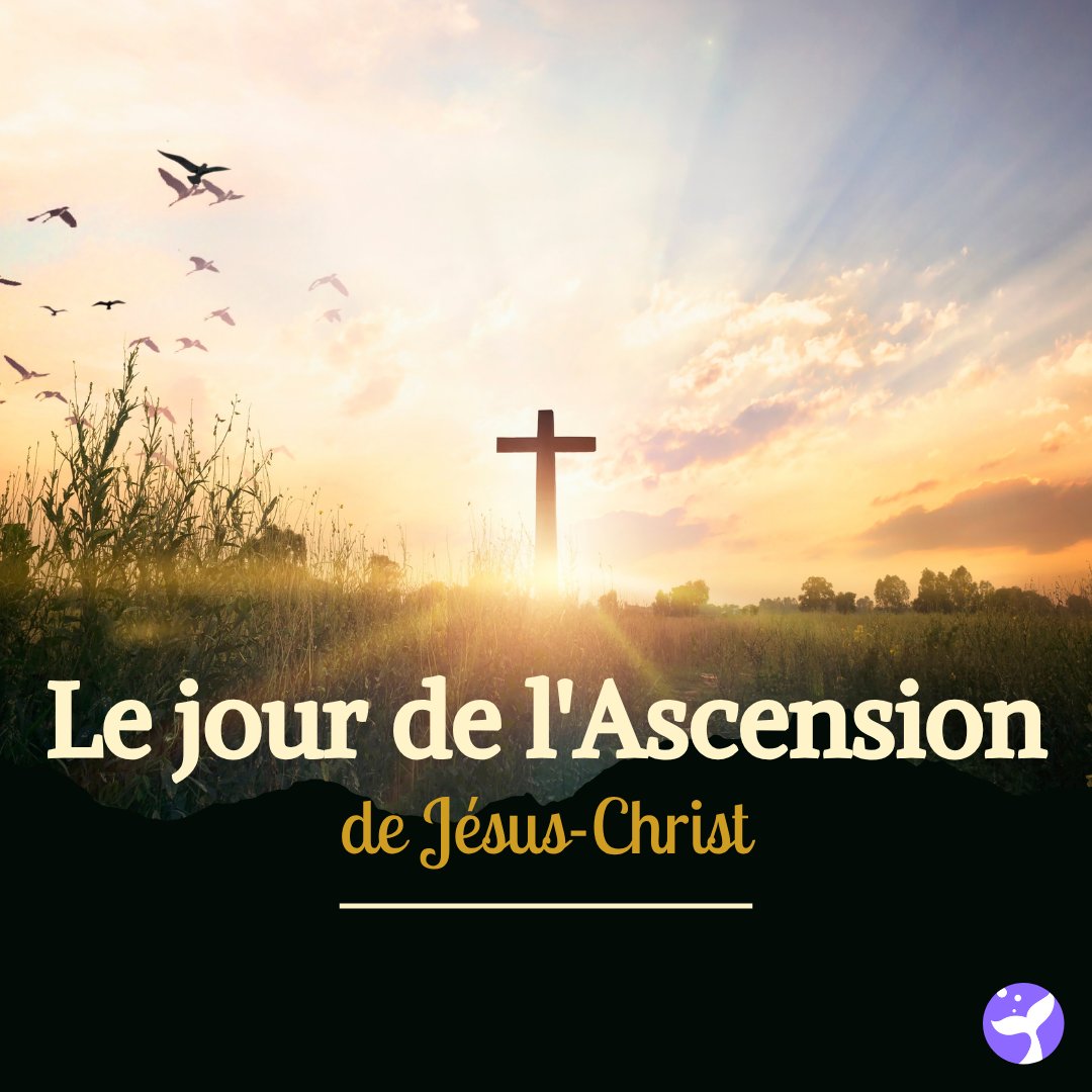JoyRead_France tweet media
