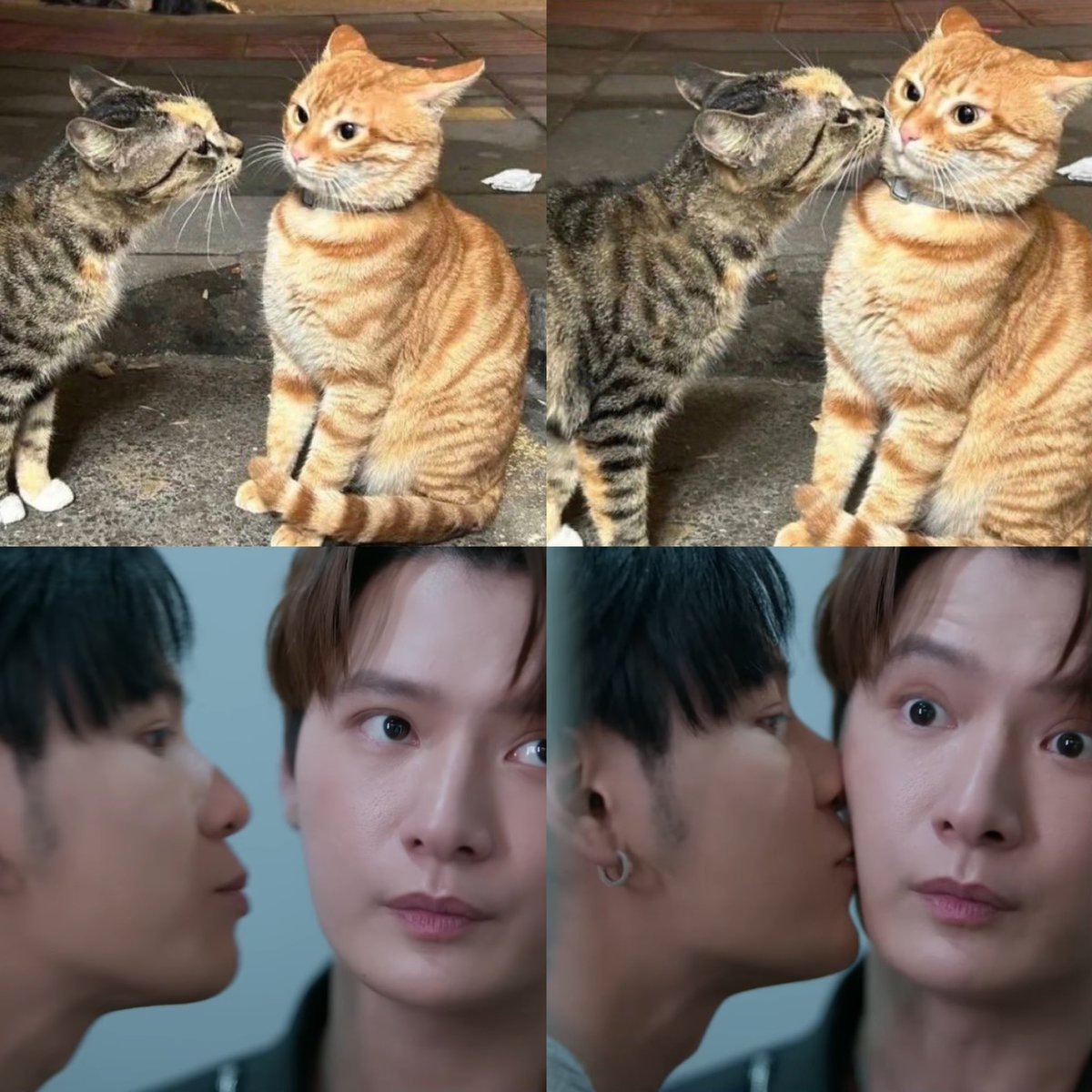 moomango_'s tweet photo. How to steal a kiss from a ginger cat 😘

#TheExMorning #คริสสิงโต 
#KristPerawat #SingtoPrachaya https://t.co/DG5pOipOjy