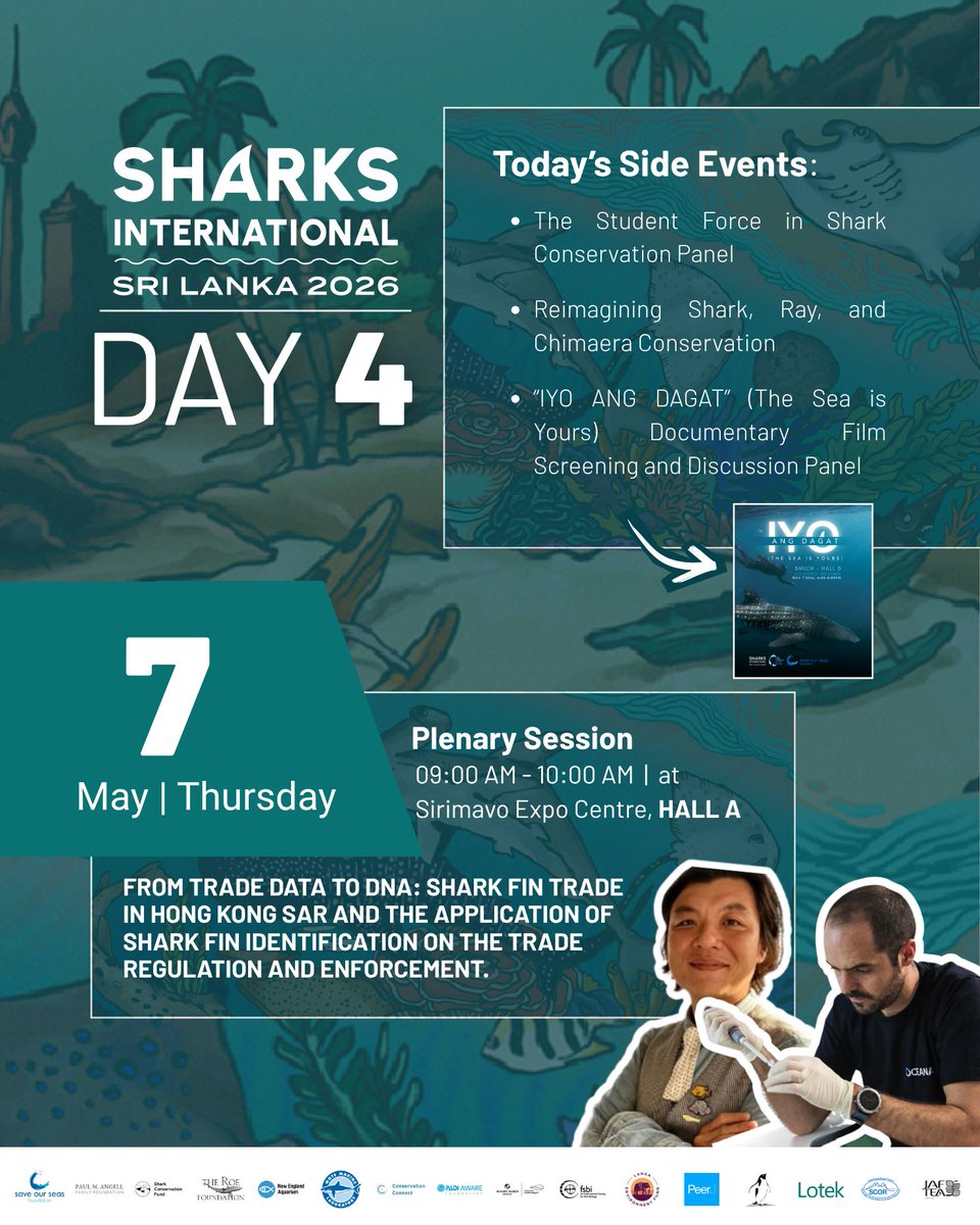 Sharks International 2026 tweet media