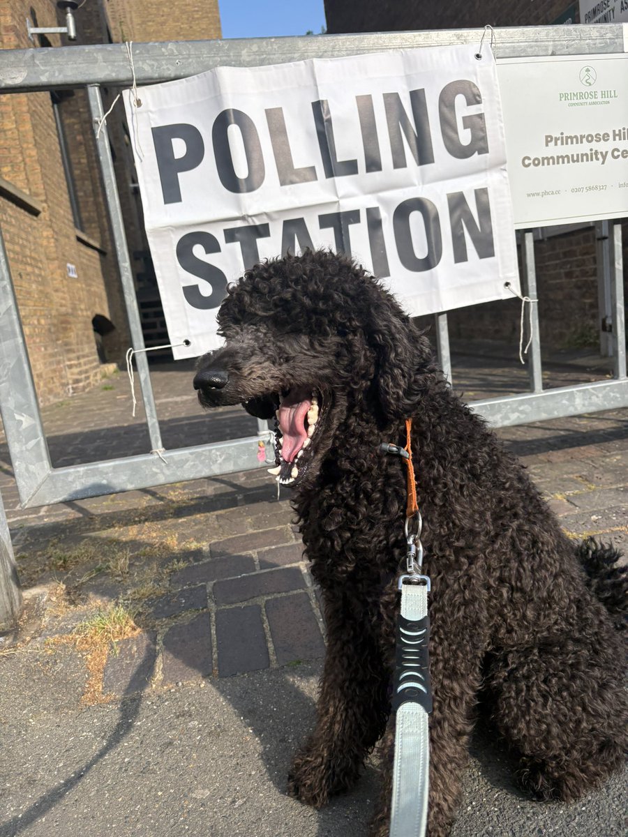 patrickwellin12's tweet photo. Merleau -Ponty -Considers Left, Right,Centre and bored #DogsatPollingStations https://t.co/ft1k4BuprA