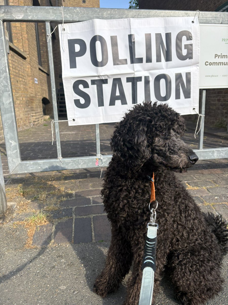 patrickwellin12's tweet photo. Merleau -Ponty -Considers Left, Right,Centre and bored #DogsatPollingStations https://t.co/ft1k4BuprA