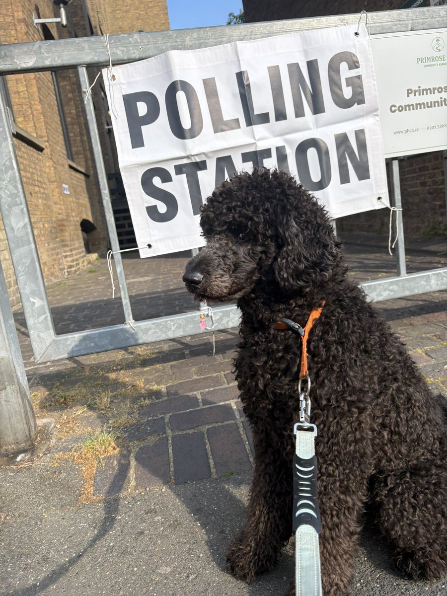 patrickwellin12's tweet photo. Merleau -Ponty -Considers Left, Right,Centre and bored #DogsatPollingStations https://t.co/ft1k4BuprA
