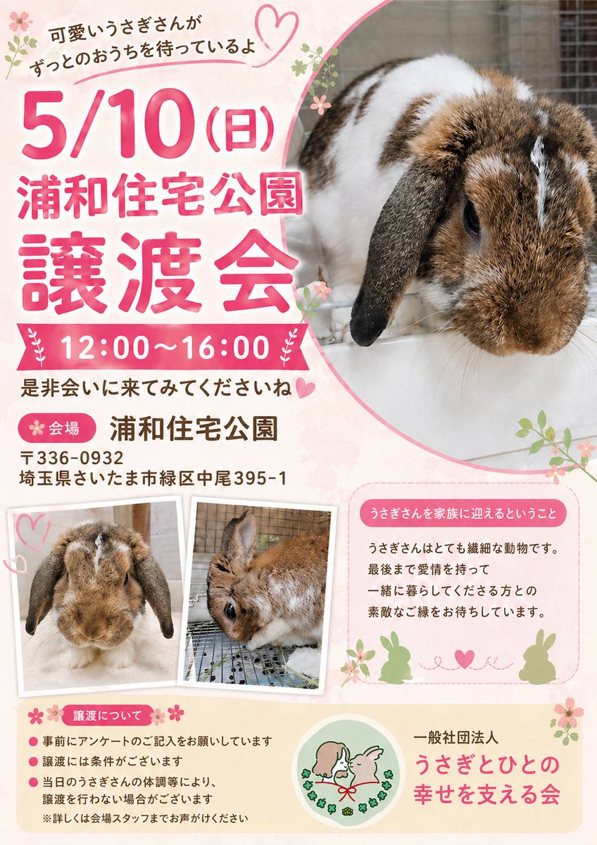※うさぎのふわページ※他の方の購入は御遠慮くださいませ。 香川の公園から保護した35匹のうさぎたちに医療と安心を。新しい家族に