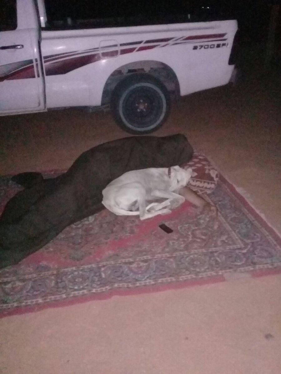 عبدالله البراك ابومحمد tweet media