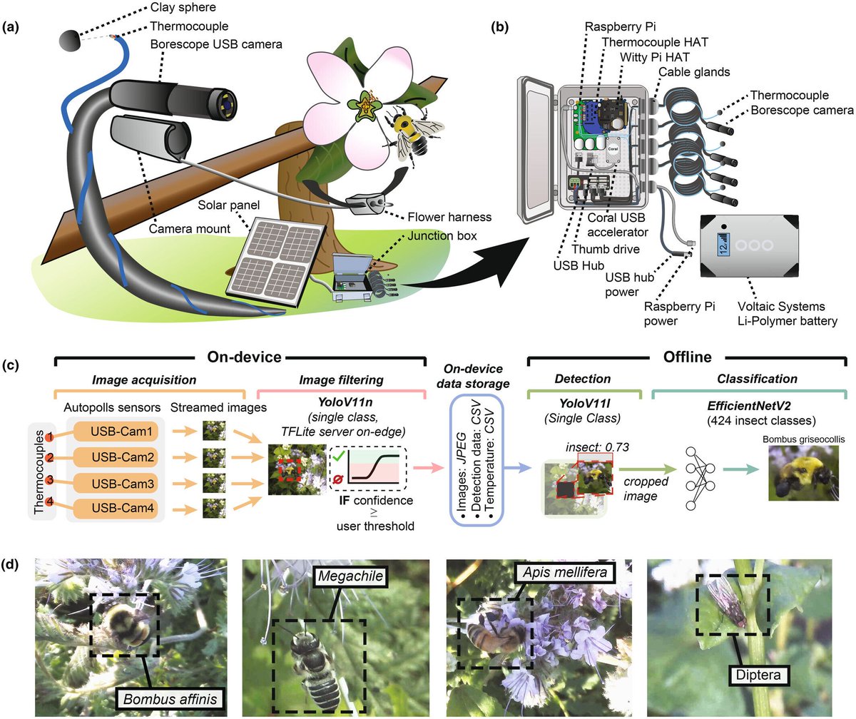 Methods in Ecology and Evolution tweet media