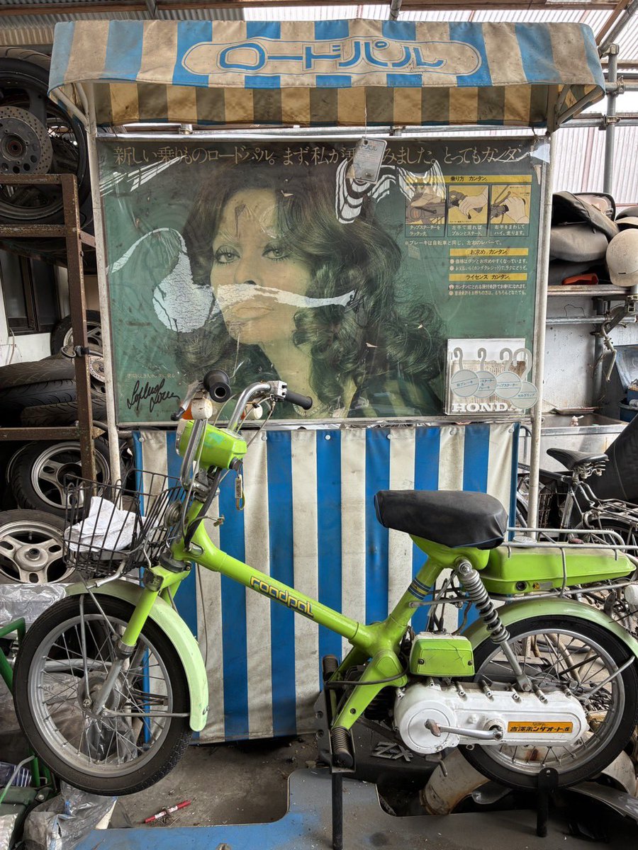 自転車 うちの車に、パルディン乗せられたので、奈良カブに持って行く予定です