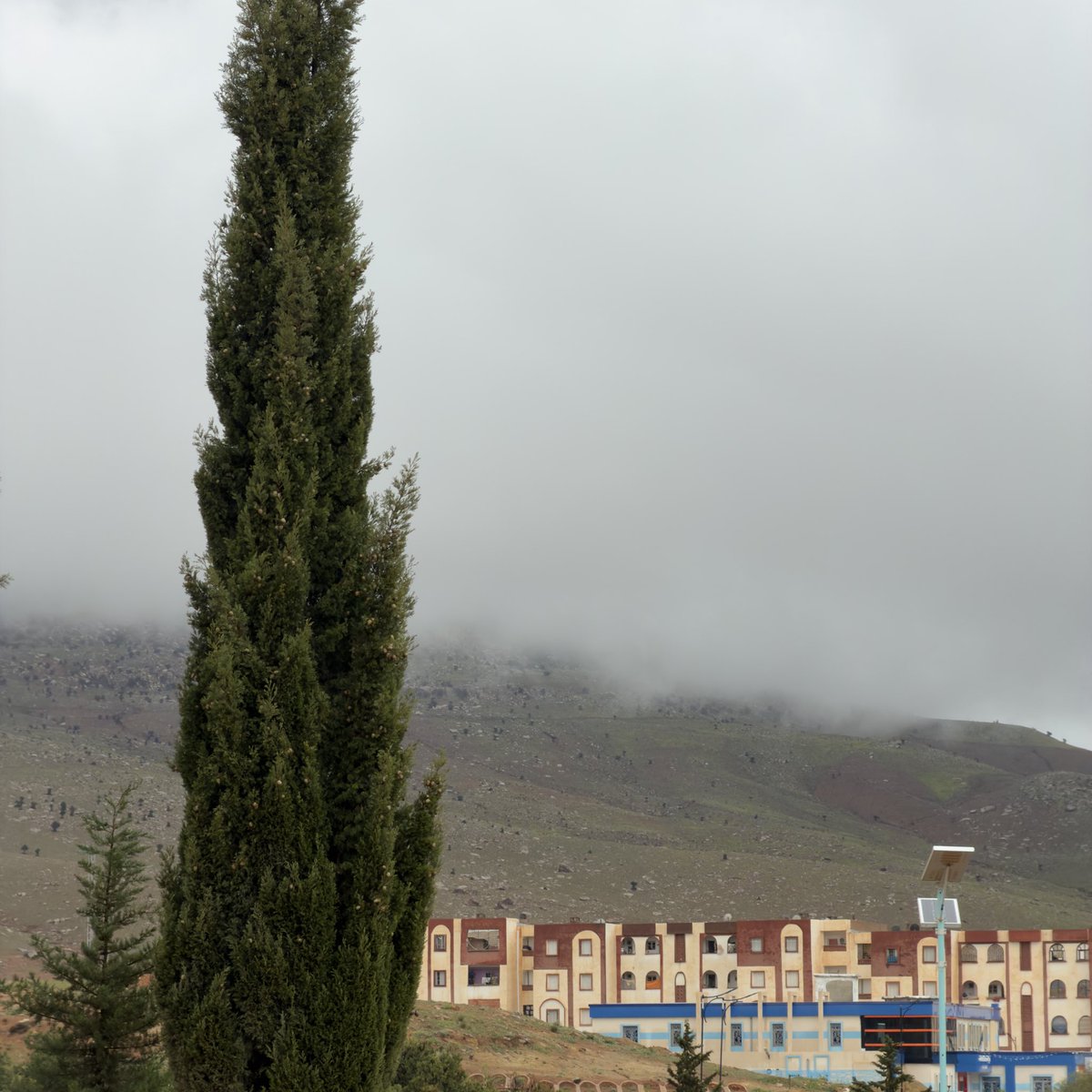 Ninovirex's tweet image. #rain #rainyday
#university #MyPhoto #PhotographyTips 
⛈️🤍