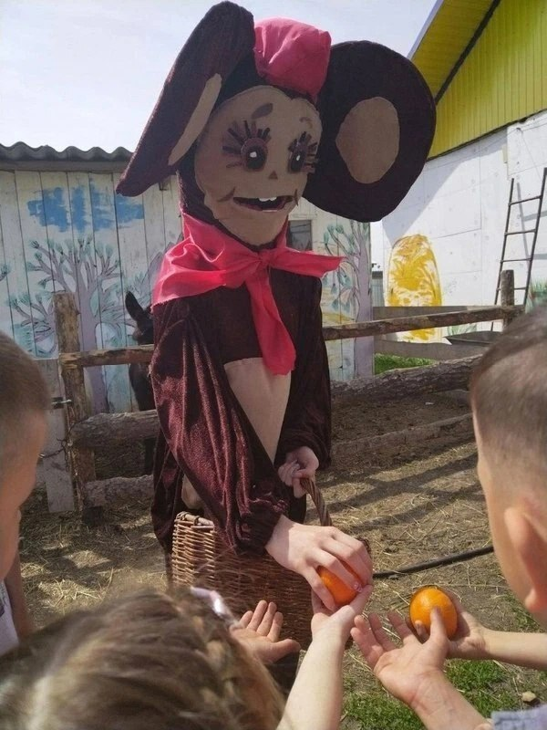 Капитан Ваймс🫚🥃🧩🎡 tweet media
