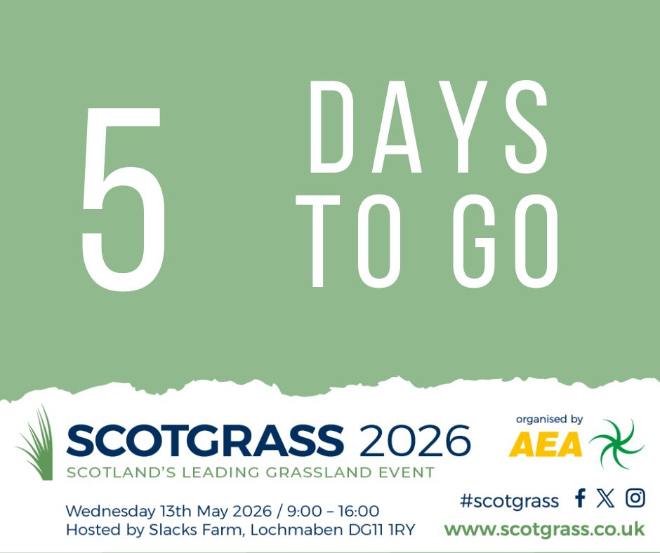 ScotGrass tweet media