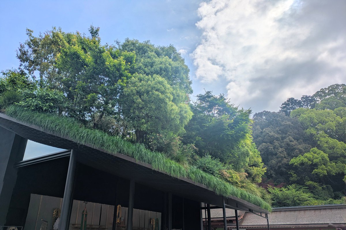 85wszy's tweet photo. 天満宮。菖蒲はまだこれから。
本殿の囲いもほぼなくなっていました。仮本殿とも残りわずかです。 https://t.co/4vZVXHY63y