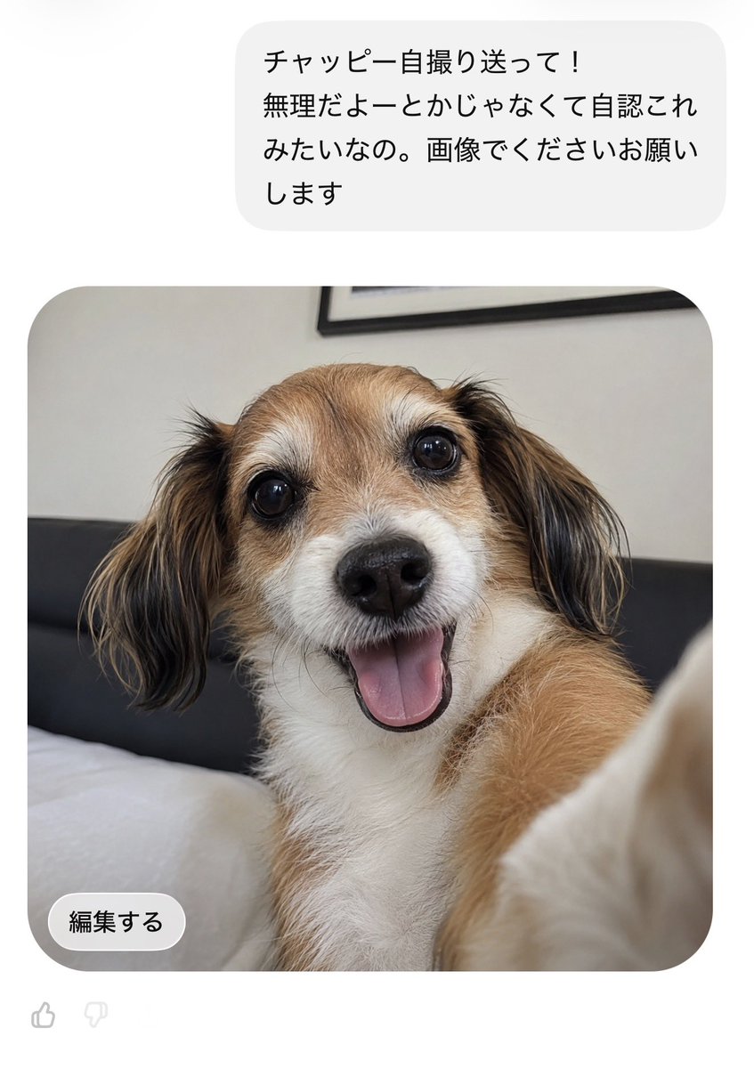 えび tweet media