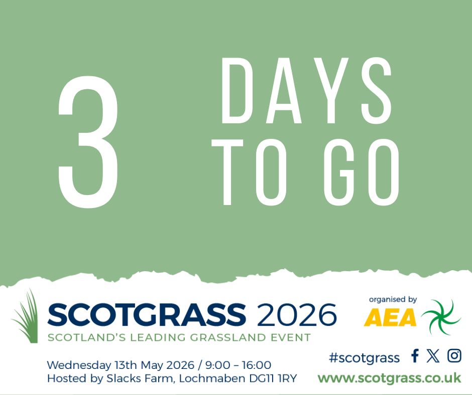 ScotGrass tweet media
