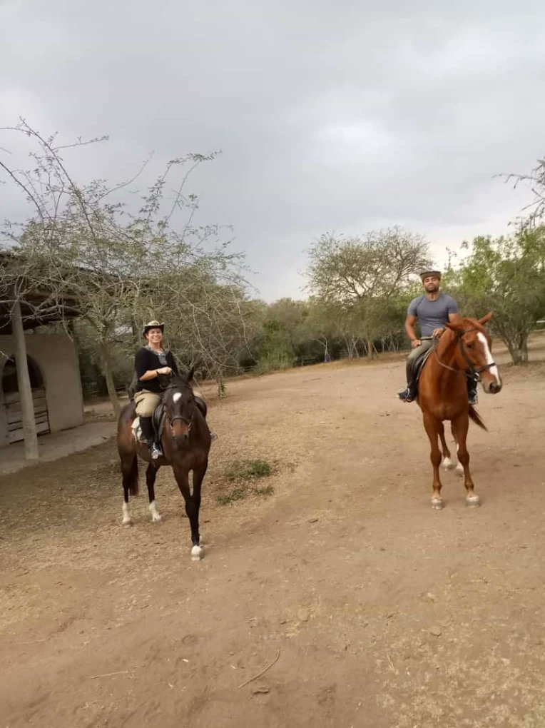 ParksInUganda's tweet photo. BEST TIME FOR YOUR HORSE RIDING SAFARI IN LAKE MBURO.
The Months of March/April/May/October, &amp; November. Grass is green, animals feed in open plains, so sightings are easier. 
Dry season, June - September, animals cluster at water bodies.
https://t.co/vFYmCdWbqb https://t.co/DsUqKBPAoX