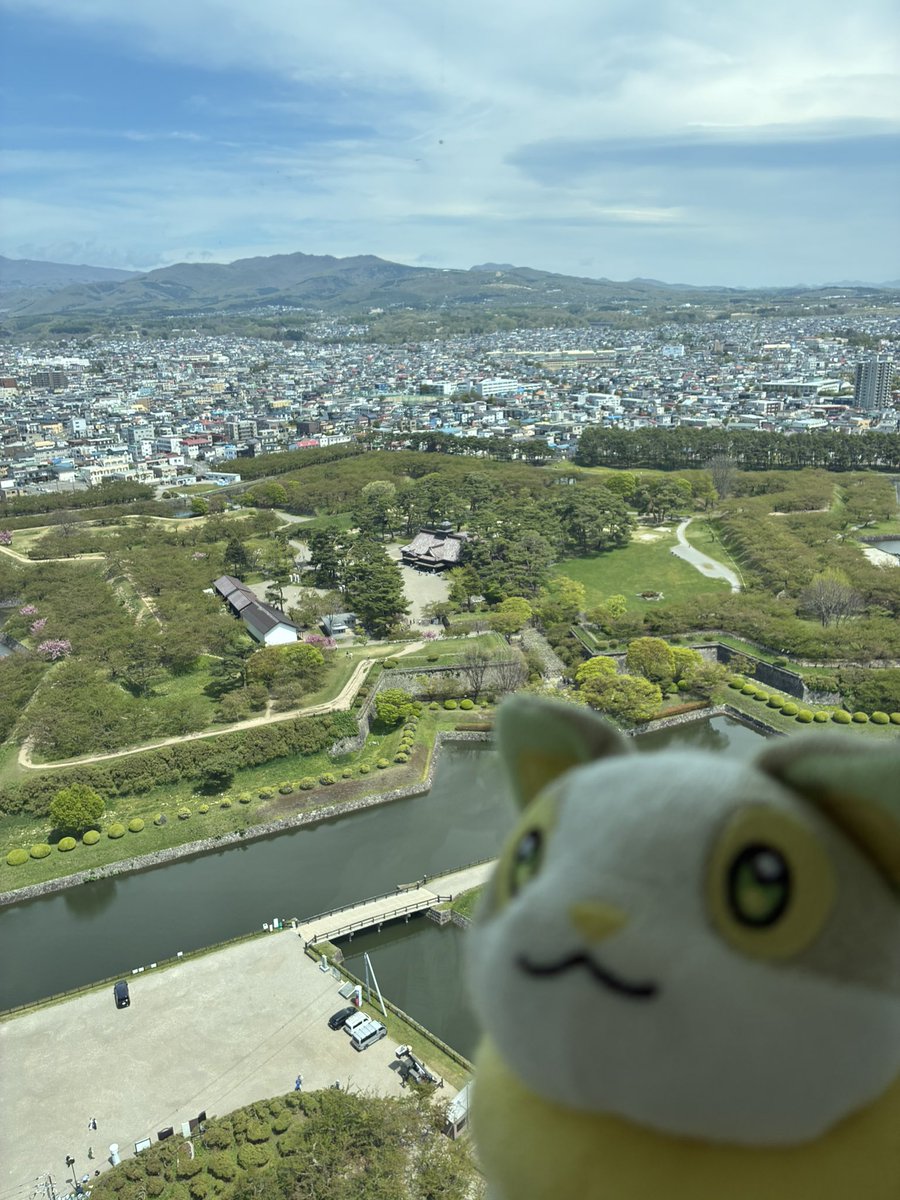ruuuuseki's tweet photo. 100万ドルだね https://t.co/vvyI7pzYhZ