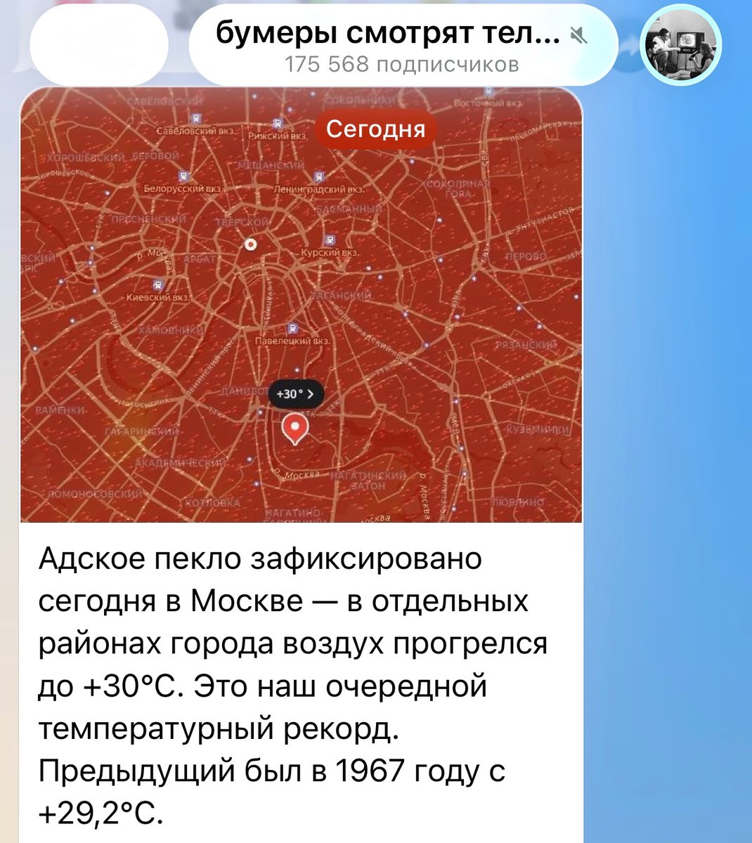 Афиша Daily tweet media