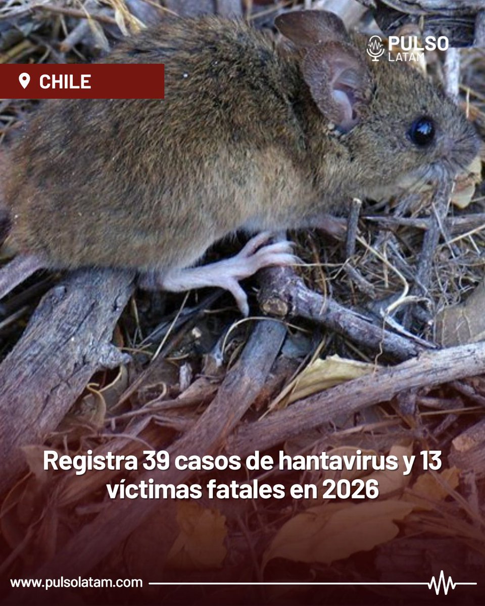 Pulso Latam tweet media
