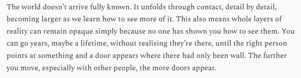 you can spend years not knowing entire layers of reality exist until the right person points at something and suddenly a door appears where there had only been wall