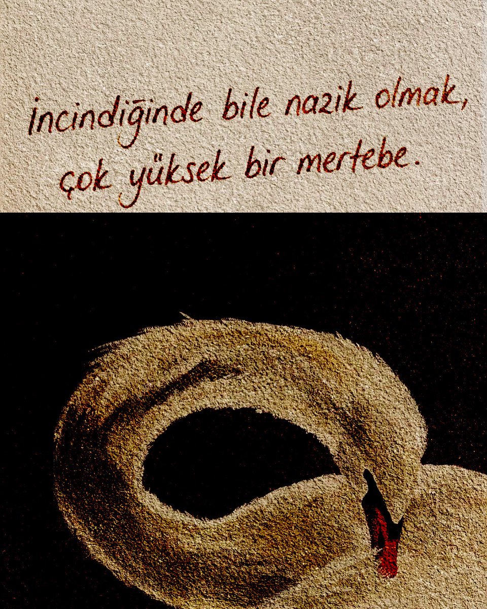 gazatr's tweet photo. çok yüksek bir mertebe. https://t.co/GL7SKWqNSf