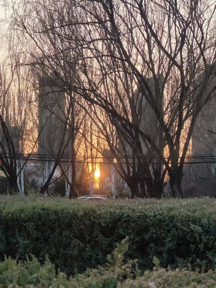 david shomija tweet media