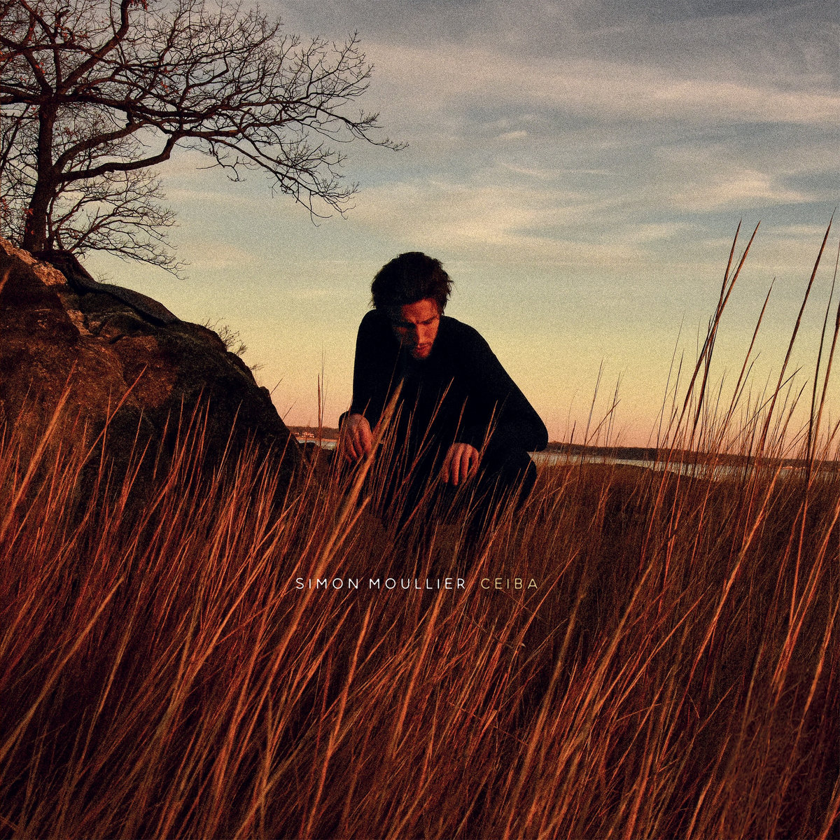 PopMatters tweet media
