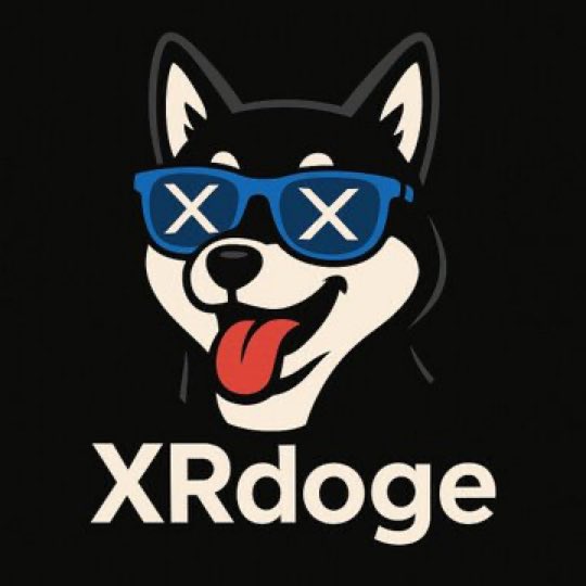 XRDogeFrens tweet media