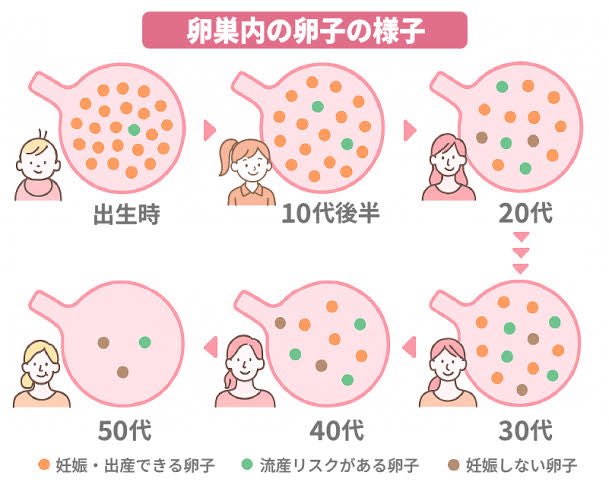 @きつね嫁 tweet media