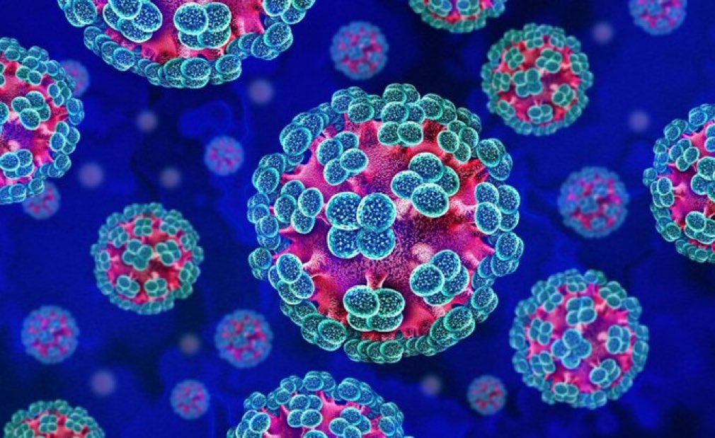 🦠 | HANTAVIRUS: 5 casos confirmados hasta ahora.