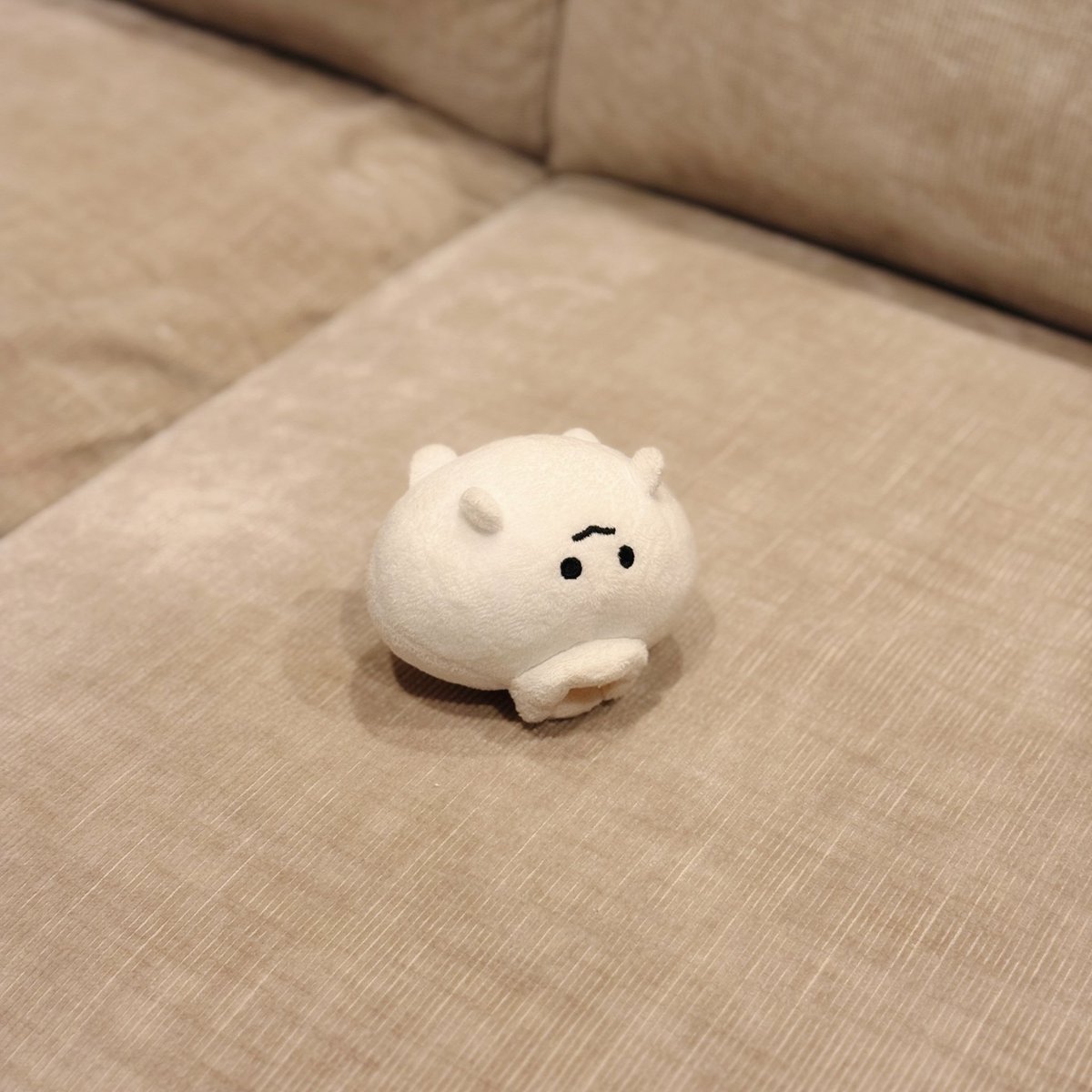 くたくた、だね