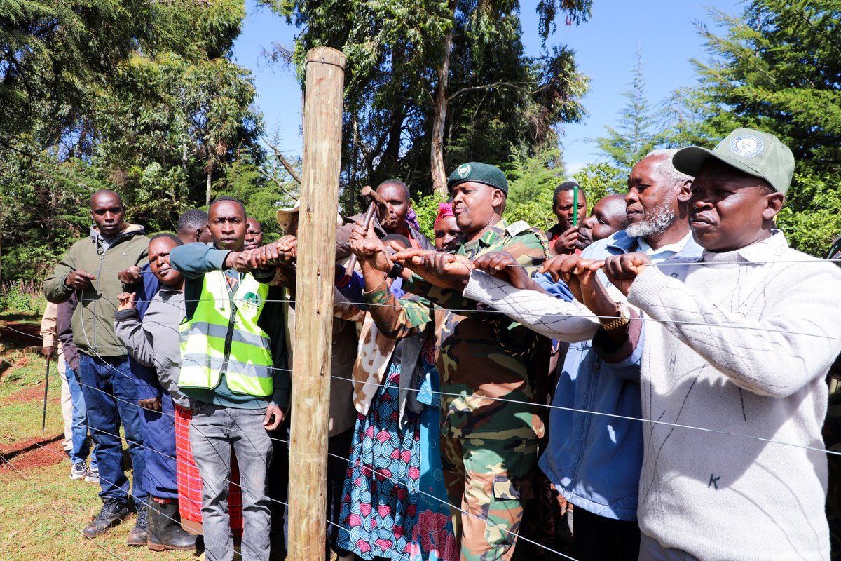 Kenya Forest Service tweet media