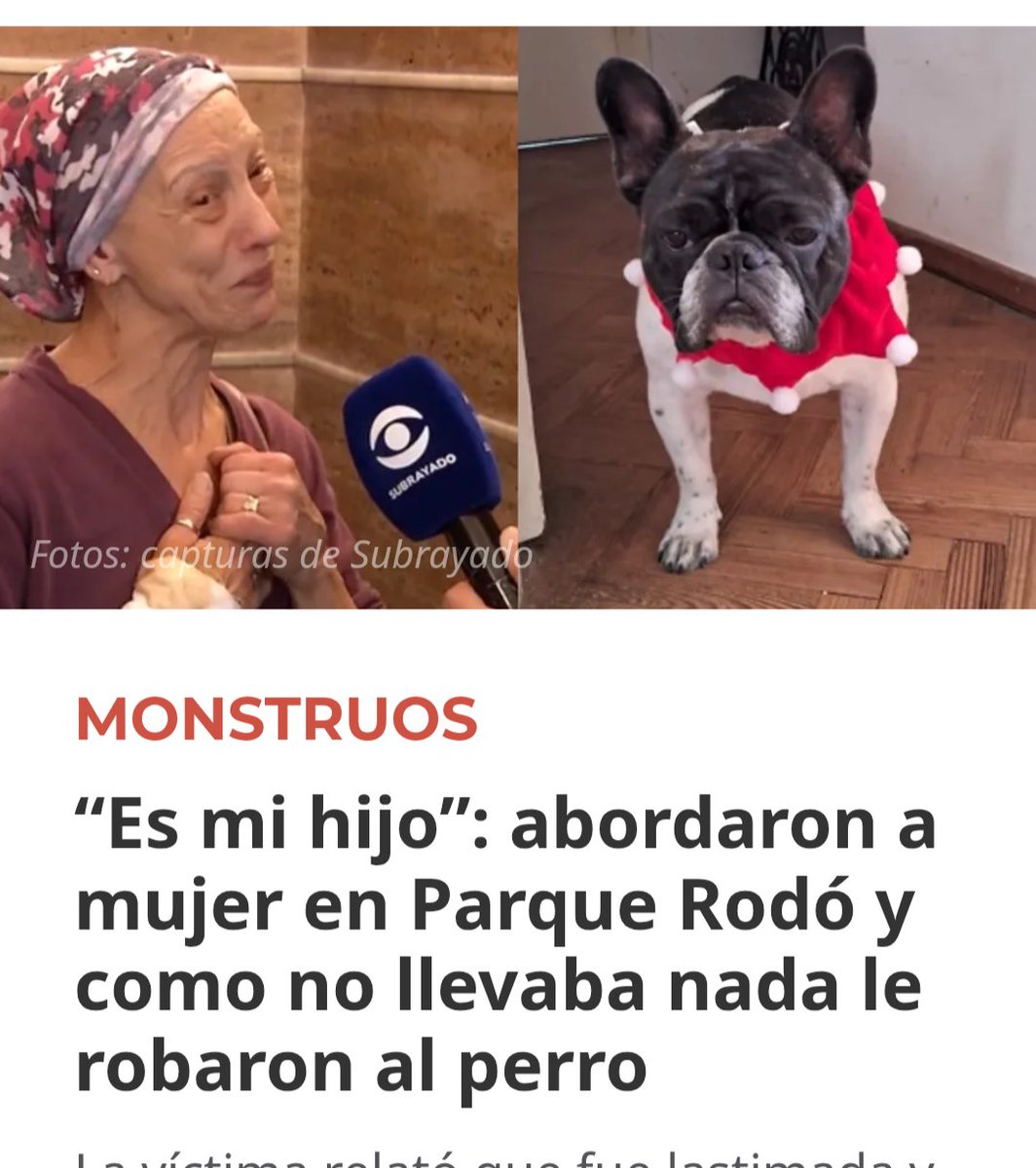 Manuela11680933's tweet photo. https://t.co/fpqFpY1a1P