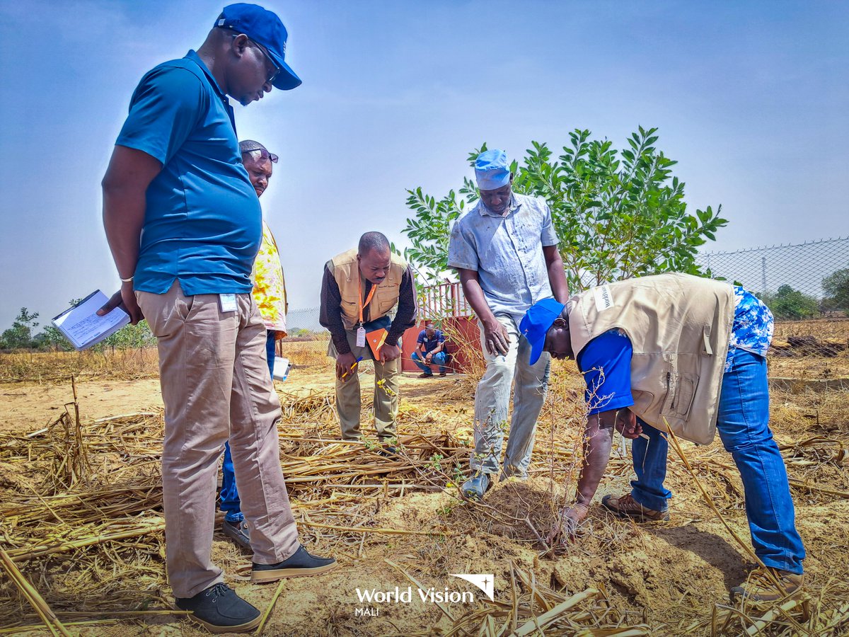 World Vision Mali tweet media