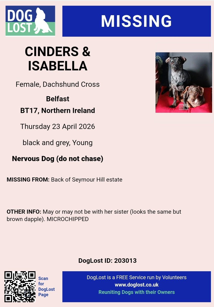 Missing Pets GB tweet media