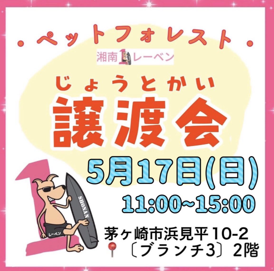 sh1Leben's tweet photo. ⭐️譲渡会のお知らせ⭐️

5月17日(日)11:00〜15:00
📍ペットフォレスト(茅ヶ崎ブランチ3の2階)

毎月開催させていただいてるペットフォレストさんでの譲渡会です✨

お迎えを待っているわんこはInstagramのストーリーズハイライトをご確認ください🐶
#湘南1leben #保護犬　#譲渡会　#里親募集中 https://t.co/IQ3jxYWFFA