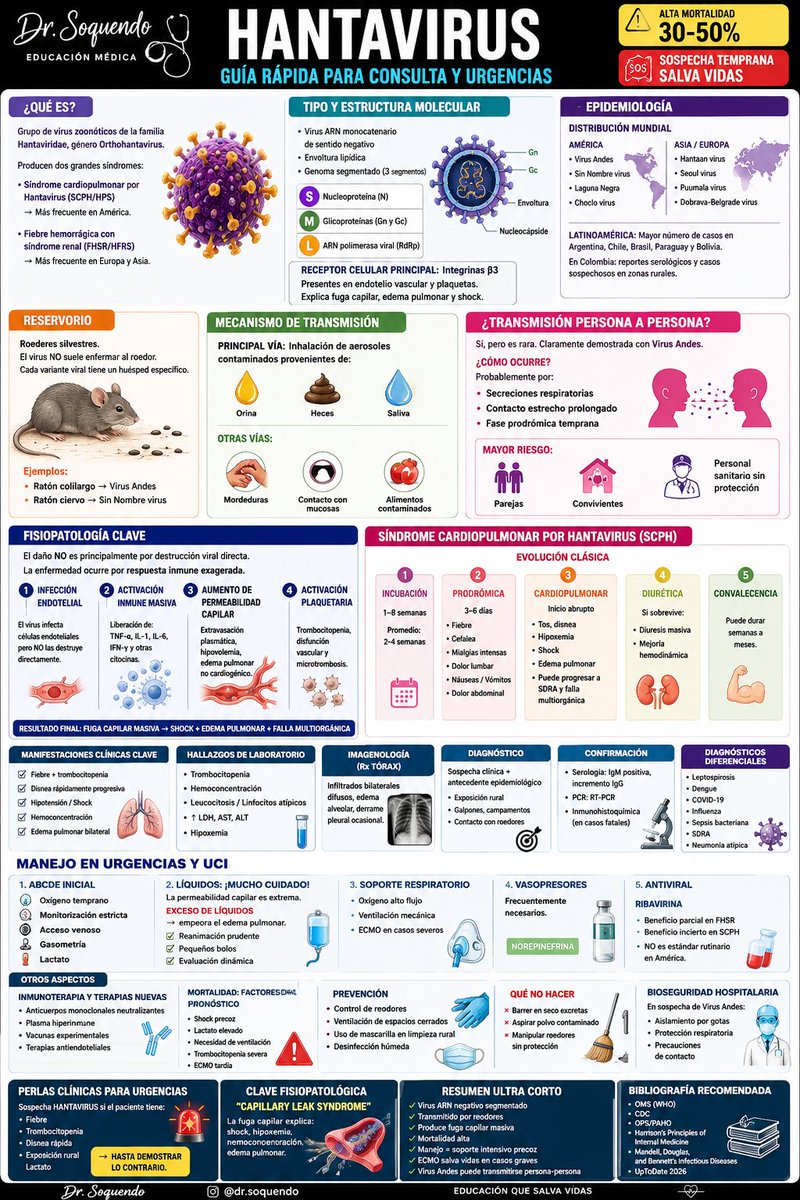 🦠 HANTAVIRUS: una zoonosis potencialmente mortal que todo clínico debe reconocer a tiempo.
⚠️ Sospecha en pacientes con fiebre + trombocitopenia + disnea + exposición rural o roedores.
🫁 El daño principal ocurre por “fuga capilar masiva” → edema pulmonar y shock.
📈 Mortalidad