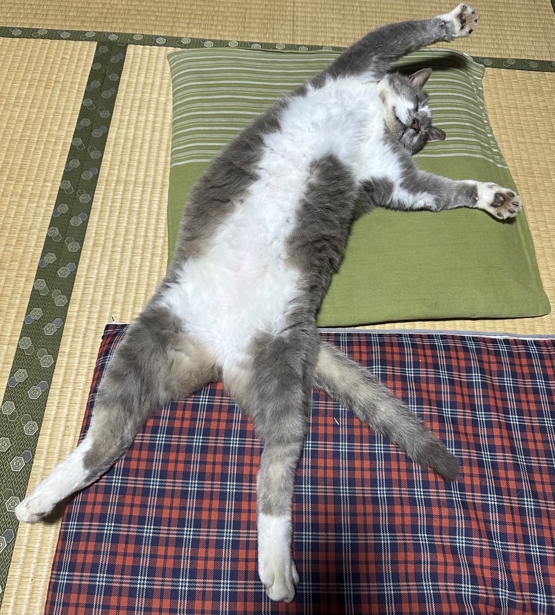 yutason's tweet photo. 連休明け初日でいまこれ https://t.co/oskxDydzAv