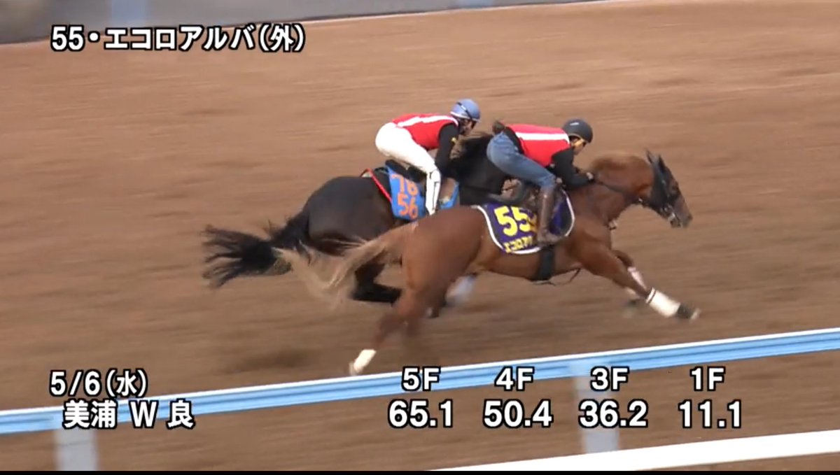 SHIN.656 tweet media