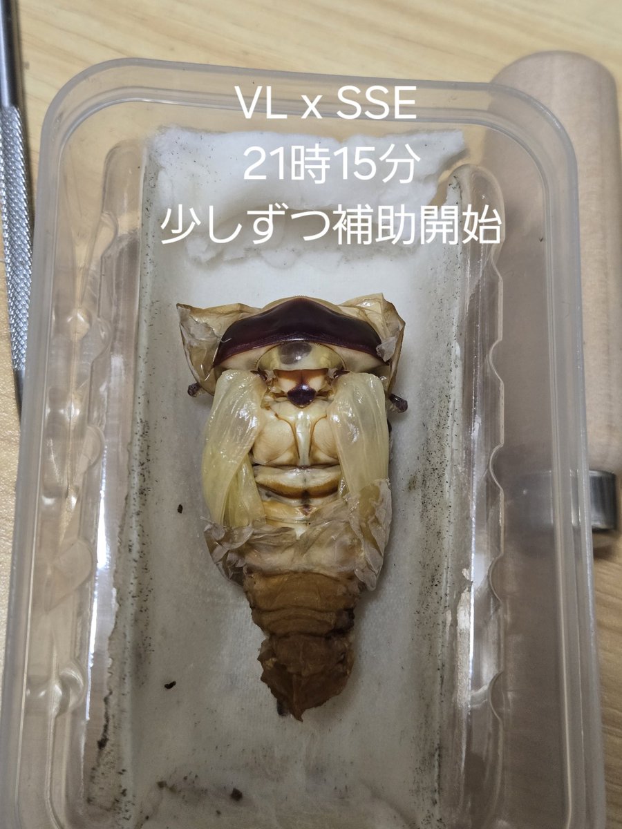 Rc3218 tweet media