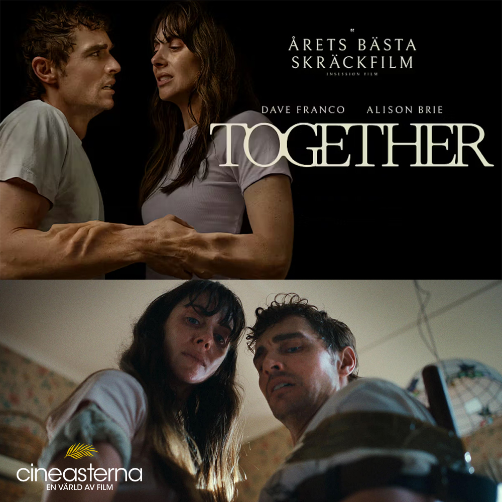 Cineasterna tweet media