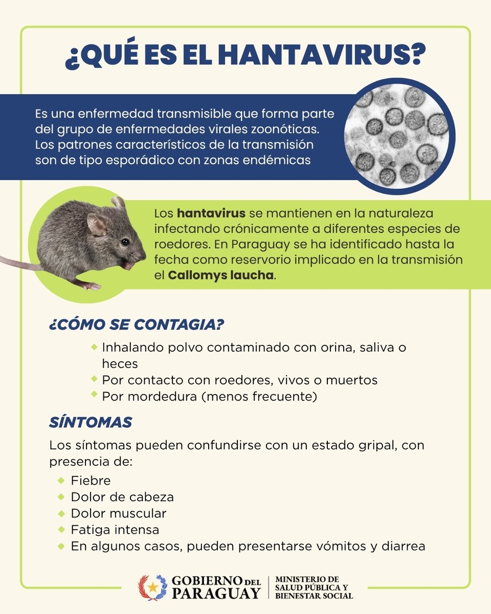 🐀 | #Hantavirus en Paraguay: situación actual, transmisión, síntomas y prevención

El hantavirus es una enfermedad viral zoonótica de alta letalidad, transmitida principalmente por roedores silvestres al ser humano por inhalación de aerosoles contaminados.