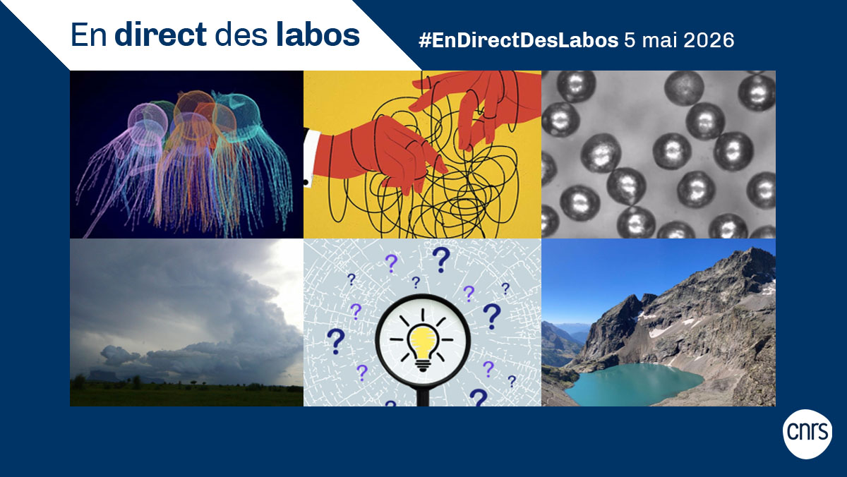 CNRS 🌍 tweet media