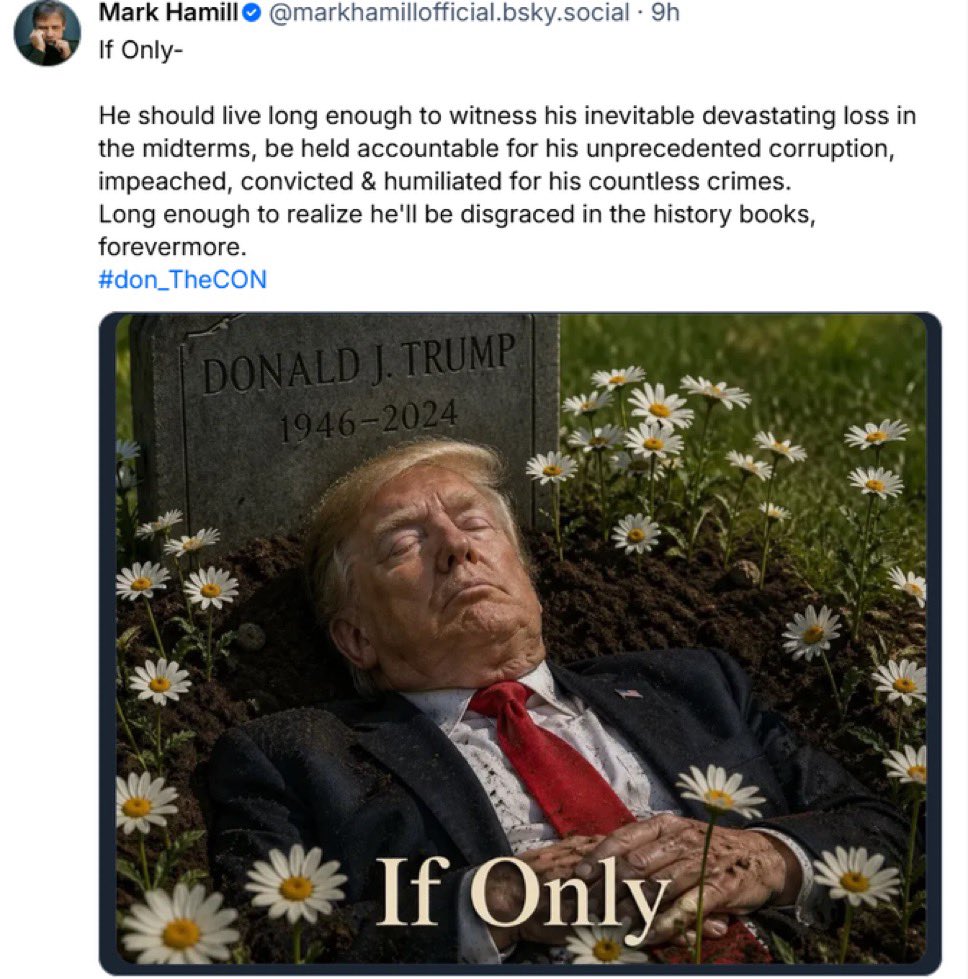 Loomer Unleashed tweet media