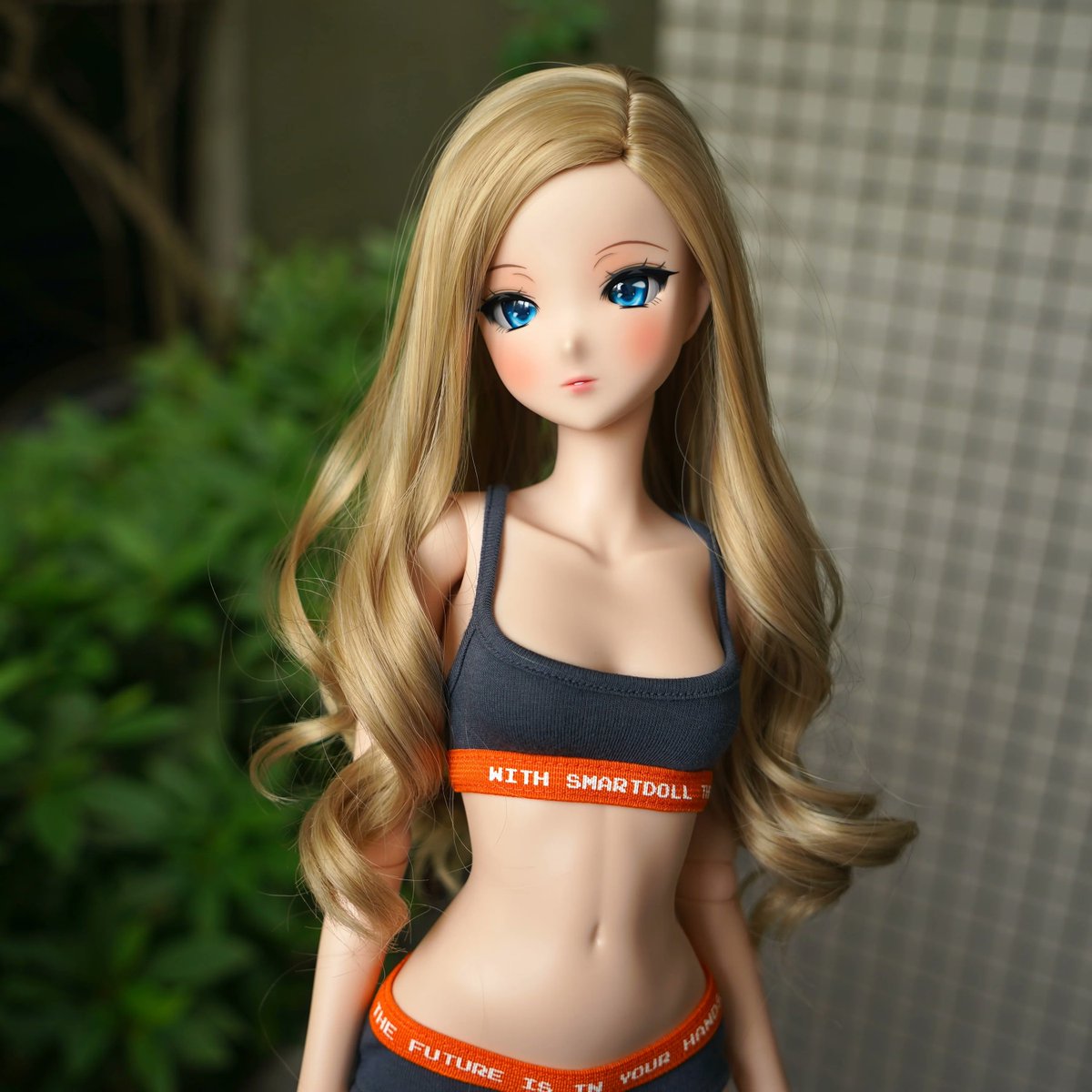 Smartdoll Land tweet media