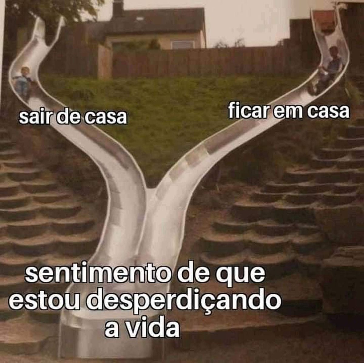 ✨