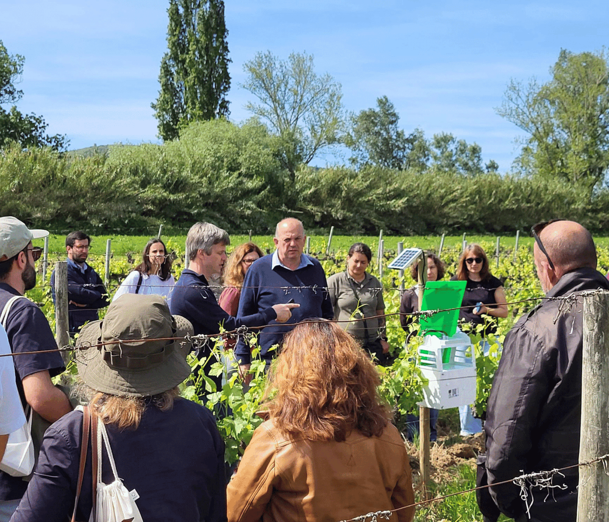 Trapview_'s tweet photo. The national #PestMonitoring project in Portugal is off to a strong start and is running smoothly.
We’re proud to be a key partner in building one of the most advanced, data-driven pest monitoring systems in agriculture today.

More: https://t.co/KGxjpjApsr
#Trapview #IPM https://t.co/djjFL09SzY