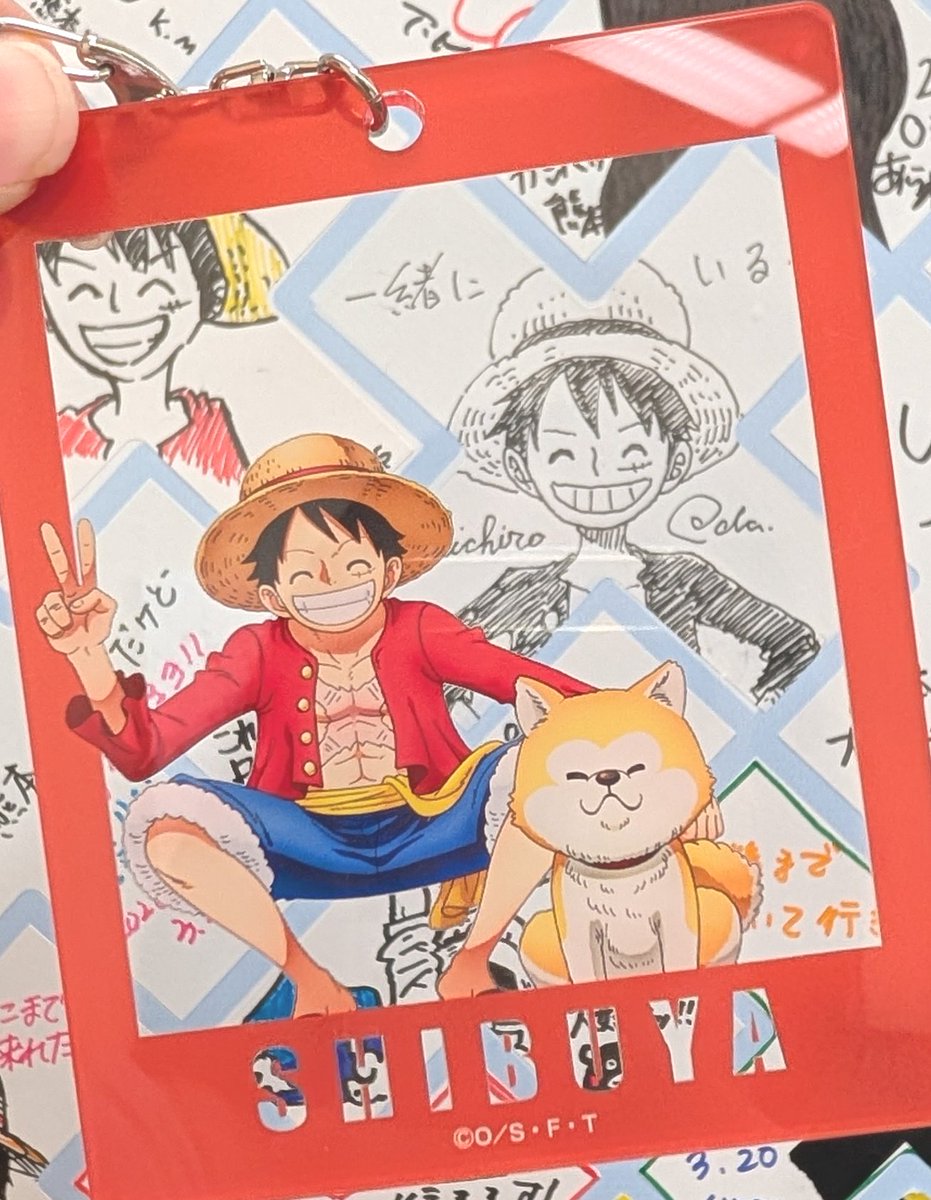麦わら船長8本￼専用ページ フレーム持っていけてよかった🏴‍☠️ #ONEPIECE #麦わらストア