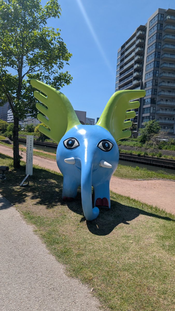 小川真央 tweet media